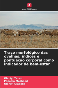 Traço morfológico das ovelhas, índices e pontuação corporal como indicador de bem-estar