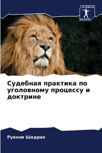 Судебная практика по уголовному процесс