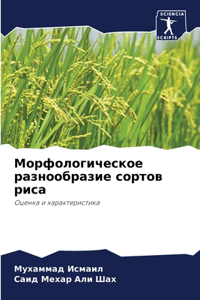 Морфологическое разнообразие сортов ри