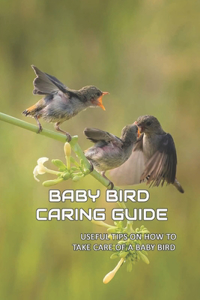 Baby Bird Caring Guide