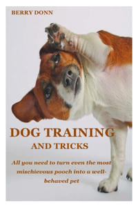Dog Training and Tricks