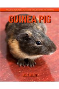 Guinea Pig
