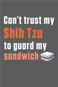 Can't trust my Shih Tzu to guard my sandwich