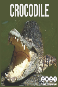 Crocodile 2021 Calendar