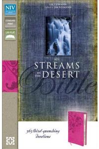 Streams in the Desert Bible-NIV