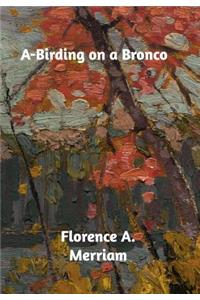 A-Birding on a Bronco