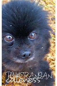 Pomeranian Cutemess Journal