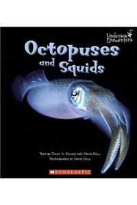 Octopuses and Squids