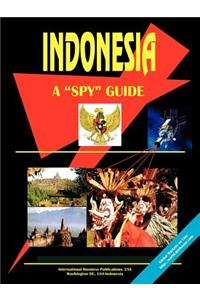 Indonesia a Spy Guide