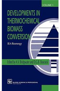 Developments in Thermochemical Biomass Conversion