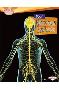 Your Nervous System