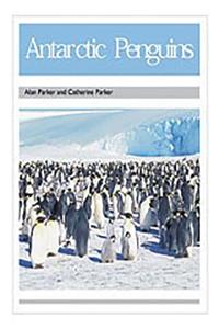 Antarctic Penguins