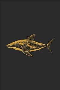 Shark Drawing