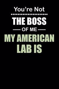 You're not the Boss of Me My American Lab Is