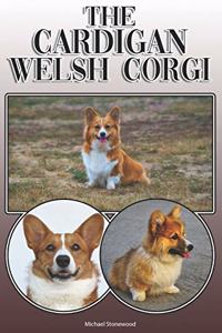 Cardigan Welsh Corgi