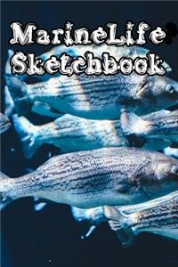 MarineLife SketchBook