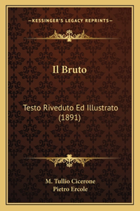 Bruto