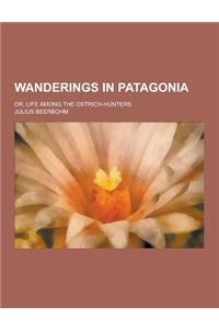 Wanderings in Patagonia; Or, Life Among the Ostrich-Hunters