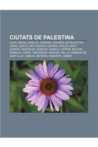 Ciutats de Palestina