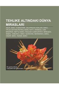 Tehlike Alt Ndaki Dunya Miraslar