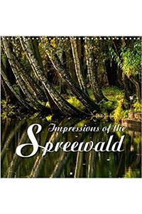 Impressions of the Spreewald 2018