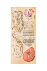 Paperblanks Lily & Tomato Mira Botanica Softcover Flexi Mini Lined 208 Pg 80 GSM