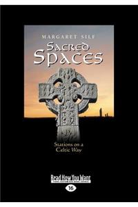 Sacred Spaces: Stations on a Celtic Way (Large Print 16pt)