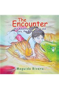 The Encounter
