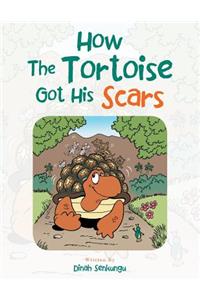 How the Tortoise Got His Scars