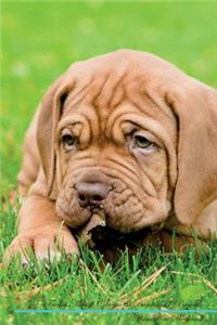 French Mastiff (Dogue de Bordeaux) Affirmations Workbook French Mastiff (Dogue de Bordeaux) Presents