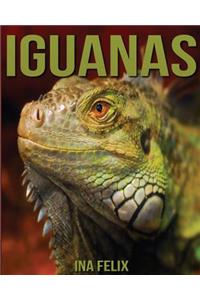 Iguanas