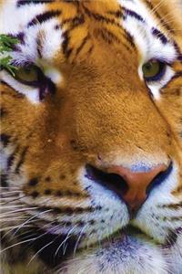 Tiger Watching Any Day Planner Notebook