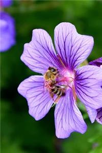 Purple Cranesbill Geranium Flower and a Bee Journal