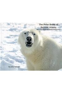 The Polar Bears of Barrow, Alaska