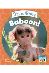 It's a Baby Baboon!