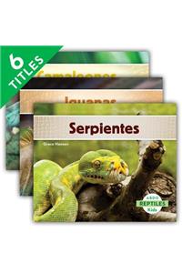 Reptiles (Reptiles) (Set)