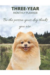 Three Year Monthly Planner Starting 2020 Agenda with Weekly Plan Space - Best Gift For Dog Owner - Funny Pomeranian Appointment Book for 2021 & 2022