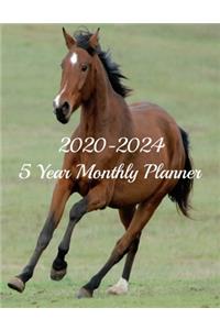 2020-2024 5 Year Monthly Planner