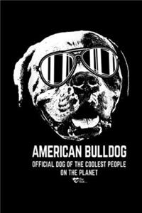 American Bulldog Official Dog of the Coolest people on the planet