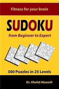 Sudoku from Beginner to Expert