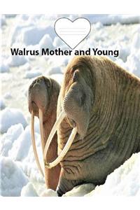 Walrus Mother And Young Wide Ruled Line Paper Composition Book