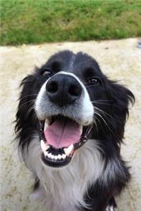 Border Collie Dog Lined Journal: Canine Gift Notebook for Dog Lovers