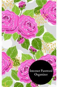 Internet Password Organizer