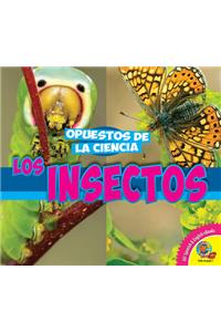 Los Insectos