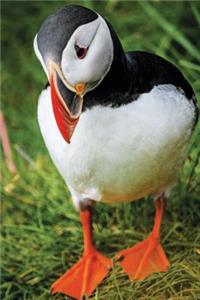 Puffin Notebook