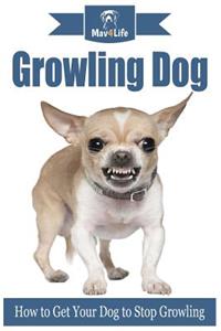 Growling Dog: How to Get Your Dog to Stop Growling?