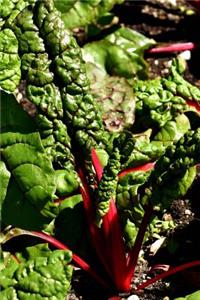 Red Swiss Chard Journal