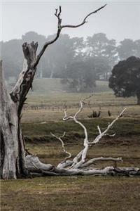 The Australian Outback Notebook