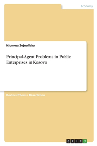 Principal-Agent Problems in Public Enterprises in Kosovo