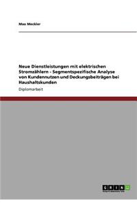 Neue Dienstleistungen mit elektrischen Stromzählern - Segmentspezifische Analyse von Kundennutzen und Deckungsbeiträgen bei Haushaltskunden